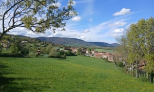Marche  Bois de la Valette, la Chaize Haute - Pélussin - 6