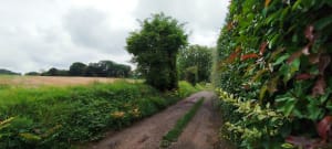 Aventure nature près de Théméricourt et diversité des alentours - Christine - 12