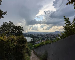 Balade en forêt et vue sur le lac d'Annecy - Annecy - 22