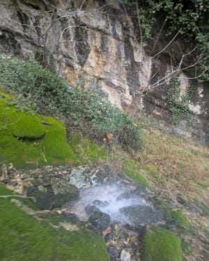 Le tour des lapiaz et de ces falaises - Yenne - 13