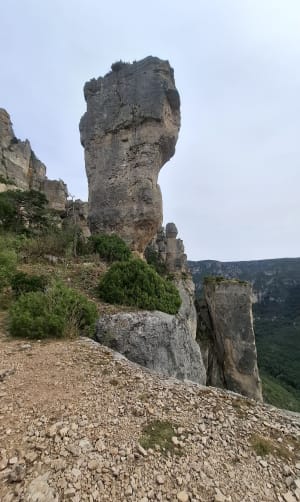 Huttopia: Sèvres-vaas, Chinese vaas en vale gieren - Marion - 8