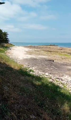 Pointe du Conguel et magnifiques plages de Quiberon - Roch Priol - 5