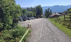 Forêt de Marnaz et vues sur l'Arve - Sylvaine - 4