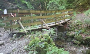 Forêt de Marnaz et vues sur l'Arve - Sylvaine - 6