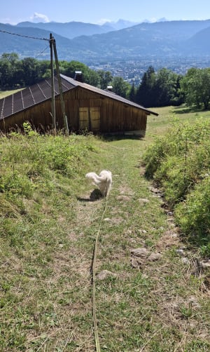 Forêt de Marnaz et vues sur l'Arve - Sylvaine - 7