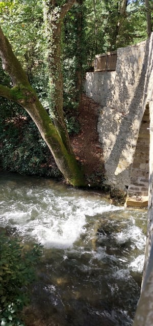 Balade entre Prades-le-Lez et le Château de Restinclières - Florence - 6