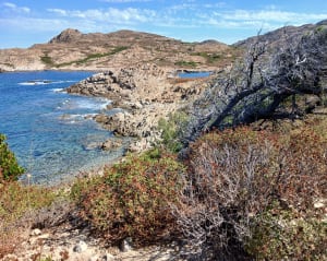 Plage de l'Ostriconi et plage de Vanna en Corse - Palasca - 13