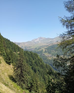 Les Perelles et le Lac de la Léchère par le refuge - Saint-François-Longchamp - 11