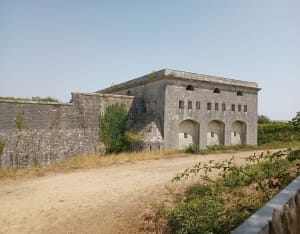 Rondleiding op Île Madame en leuke ervaring op de Passe aux Bœufs - Saint-Nazaire-sur-Charente - 11