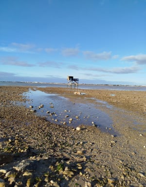 Ronde van de Pointe du Chay - tussen stranden en moerassen - Aytré - 16