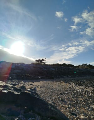 Ronde van de Pointe du Chay - tussen stranden en moerassen - Aytré - 17