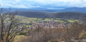 Balade sur les hauteurs et environs de Westhalten - Westhalten - 8
