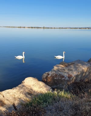 De la Cadière au canal en passant par l'étang de Bolmon - Marignane - 5