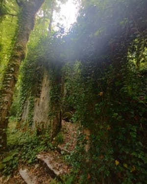 Le parfum d'Estrela au départ de Jeurre - Jeurre - 8