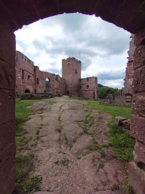 Château de Wagenbourg - Wangenbourg-Engenthal - 8