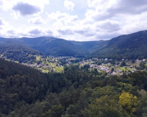 Château de Wagenbourg - Wangenbourg-Engenthal - 9