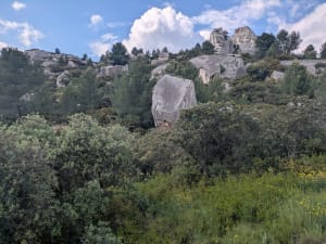 Le tour du grand Mejan - Fontvieille - 8