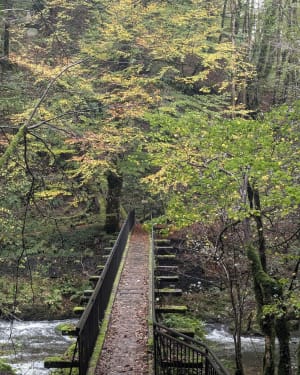 Randonnée à la Cascade du Pas de Cère - Vic-sur-Cère - 37