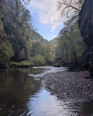Randonnée à la Cascade du Pas de Cère - Vic-sur-Cère - 41