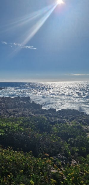 Wandeling van Menton naar Roquebrune-Cap-Martin - Menton - 9