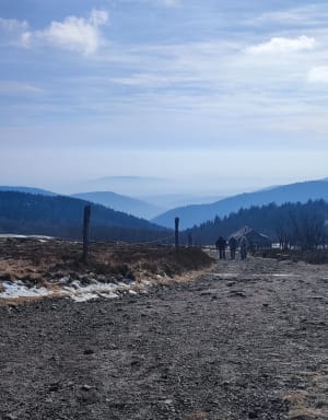 Ballon d'Alsace-lus via het uitzichtpunt van Birkel - Lepuix - 8