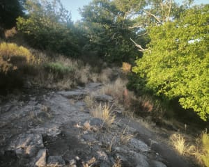 Le Rocher de la Fileuse - Saint-Plantaire - 12