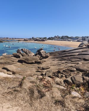 Boucle à l'Ile Renote - Trégastel - 14
