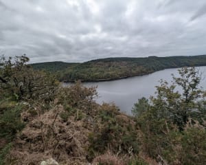 Balade au Lac de Guerlédan - Caurel - 14