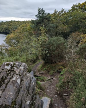 Balade au Lac de Guerlédan - Caurel - 17