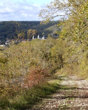 Boucle des châteaux à Coulaures - Coulaures - 4