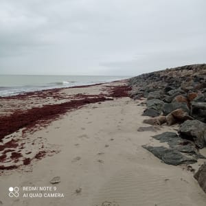 Quel pied à l'Epine et marais salants de Noirmoutier à cœur ! - Noirmoutier-en-l'Île - 4