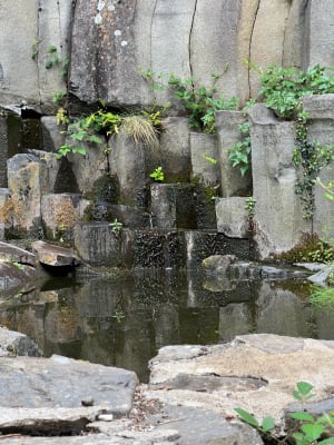Verfrissende Cascade des Baumes en mysterieuze dolmen - Le Brignon - 38