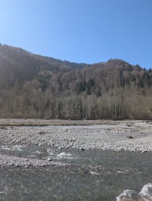 Balade le long du Giffre - Morillon - 9