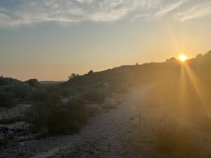 Paradou les tours - Paradou - 16