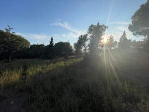 Paradou les tours - Paradou - 20