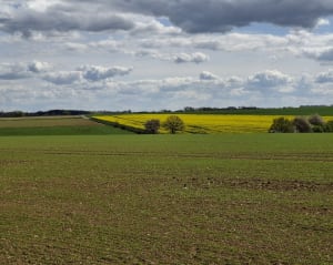 Au fil des Châteaux du Val-de-Saâne - Val-de-Saâne - 4