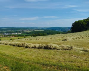 Tour plateau de Ludres - Ludres - 9