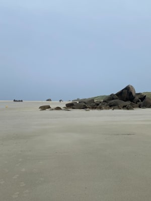 Balade sur la côte Nord du Finistère - Cléder - 30