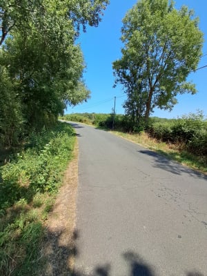 Een korte rondleiding door Durbelière - Mauléon - 5