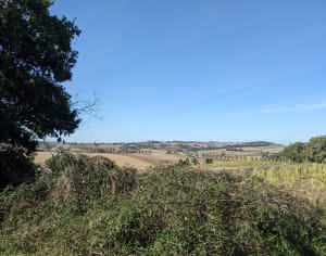 Pleichac, une petite boucle panoramique - Laplume - 4