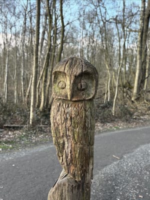 Bois des Cinq Tailles - Carine - 22