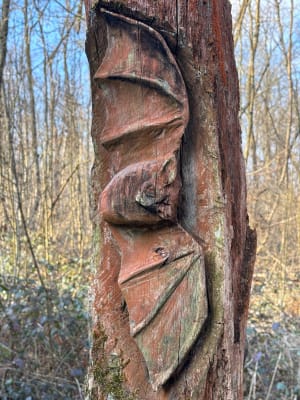 Bois des Cinq Tailles - Carine - 24