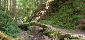 Saut de la Bourrique et Tête de Mérelle à Géradmer - Gérardmer - 10