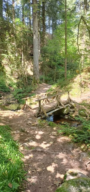 Saut de la Bourrique et Tête de Mérelle à Géradmer - Gérardmer - 11