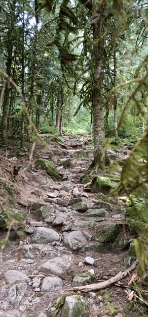 Saut de la Bourrique et Tête de Mérelle à Géradmer - Gérardmer - 12