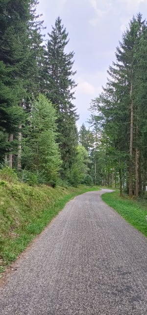 Saut de la Bourrique et Tête de Mérelle à Géradmer - Gérardmer - 14