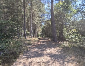 Sentier botanique de Georgi - Saint-Georges-les-Bains - 7