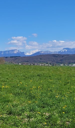 Circuit des Ondes - Hauteville-sur-Fier - 5
