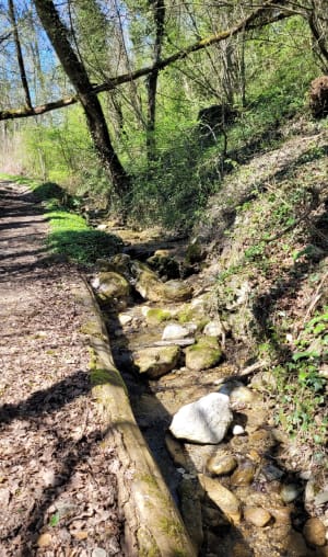 Circuit des Ondes - Hauteville-sur-Fier - 6