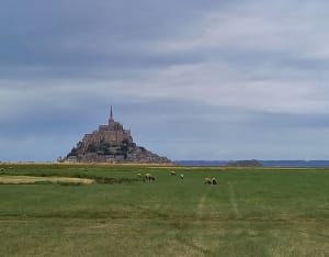 Huisnes-sur-Mer / Ardevon / Mont Saint-Michel / Huisnes-sur-Mer - Huisnes-sur-Mer - 12